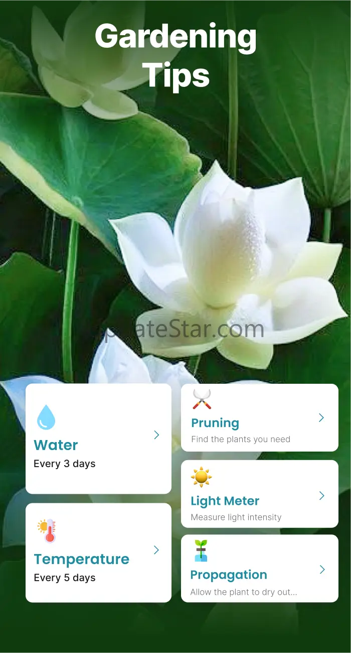 Plant Identifier Scanner