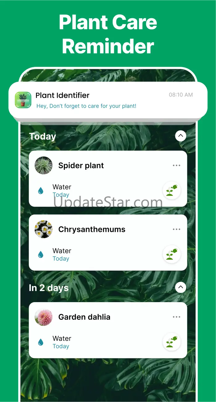 Plant Identifier Scanner