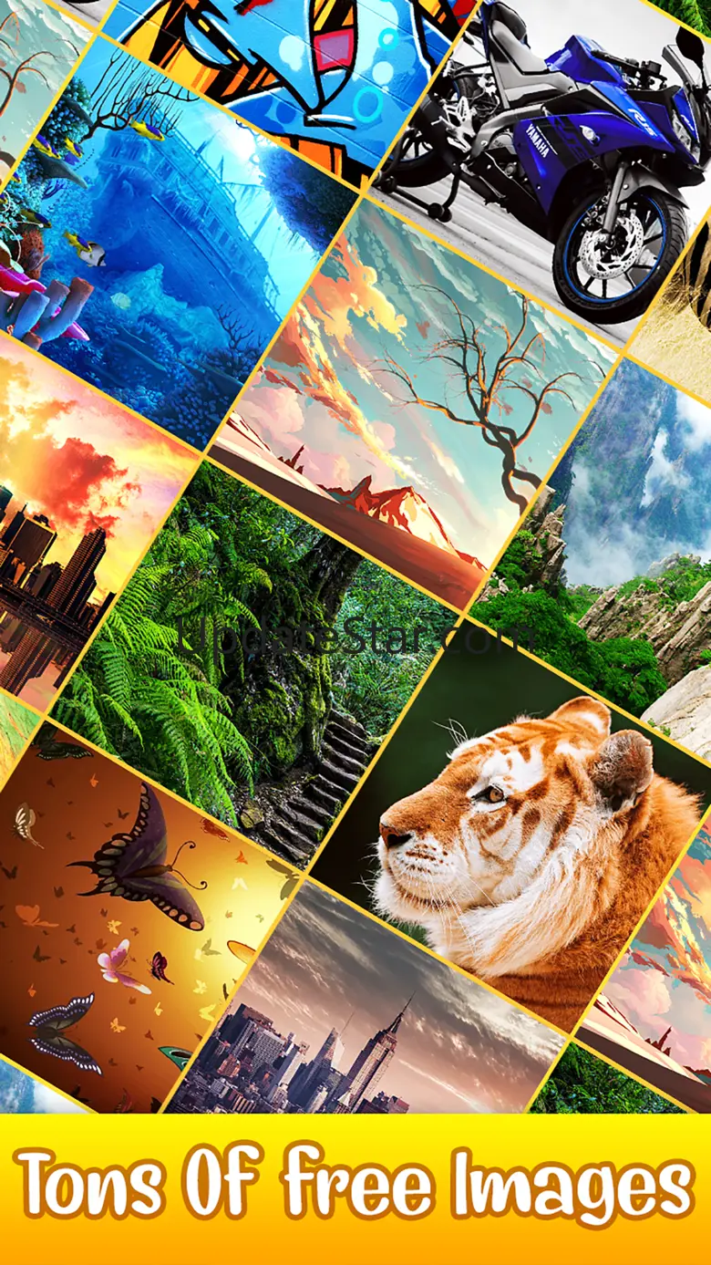 Jigsaw Hexa Puzzle Art 1.3
