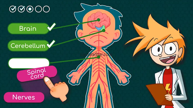 Human body adventure for kids 02.00.03