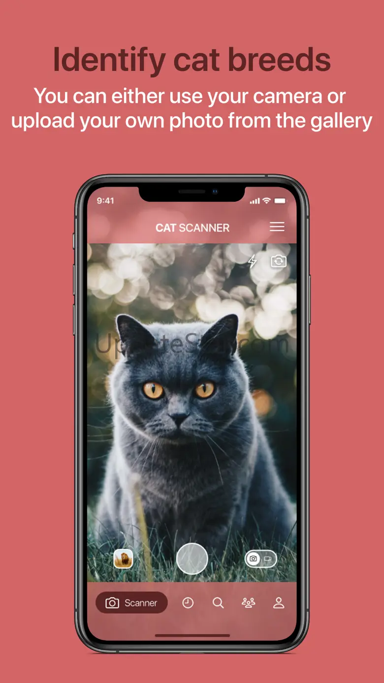 Cat Scanner 11.2.3