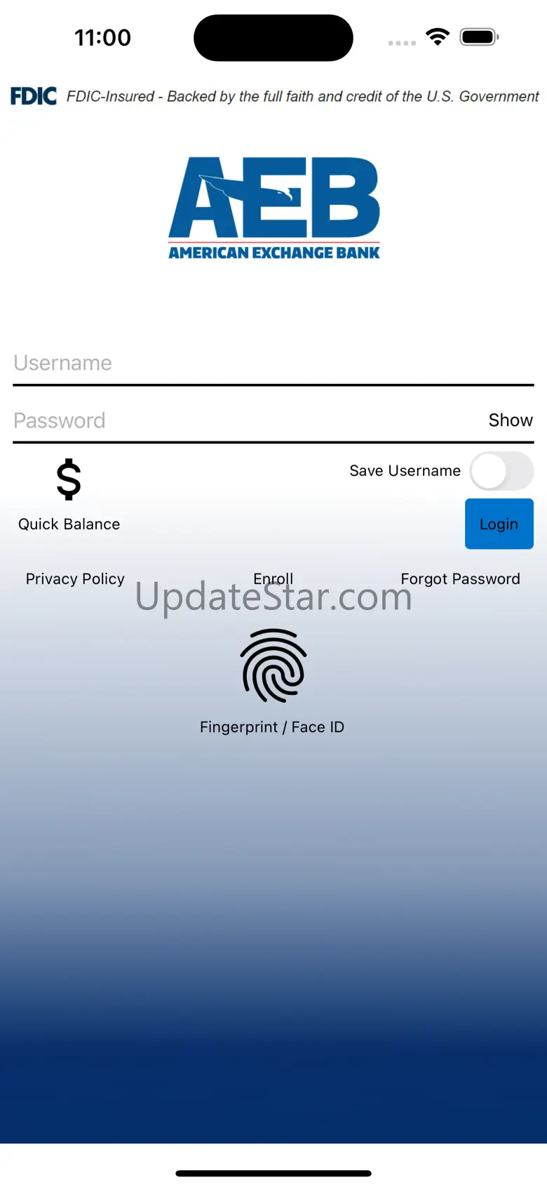 American Exchange Bank Mobile 300000000.3.328