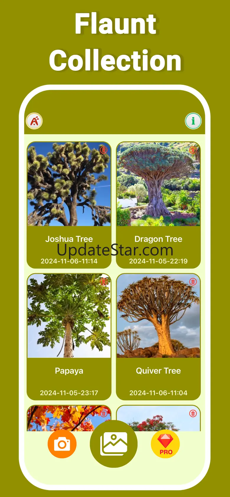 Tree Identifier AI Treelogy 1.1