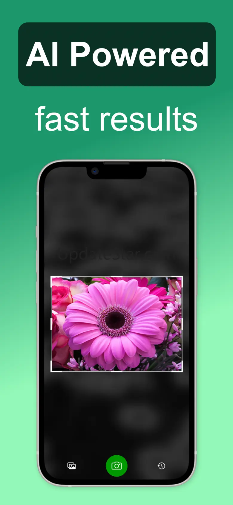 Flower Identifier: ID Scanner 1.0.6
