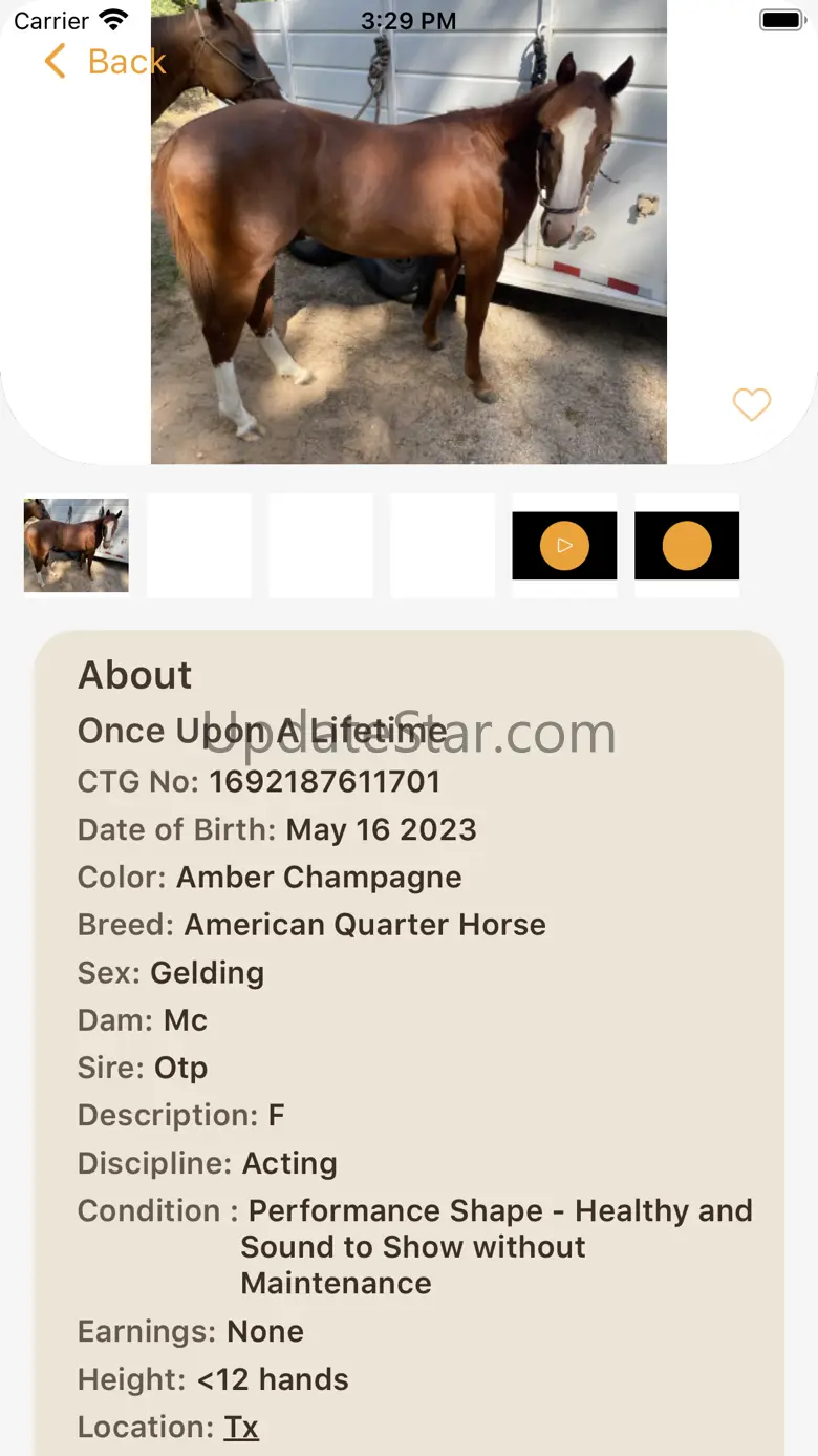 CTG Horse CTG Horse