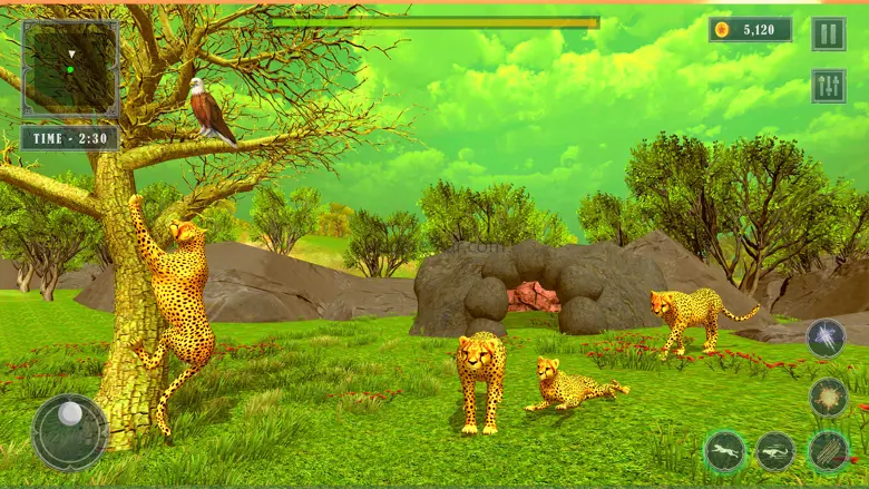 Wild Cheetah Simulator 3D 1.15