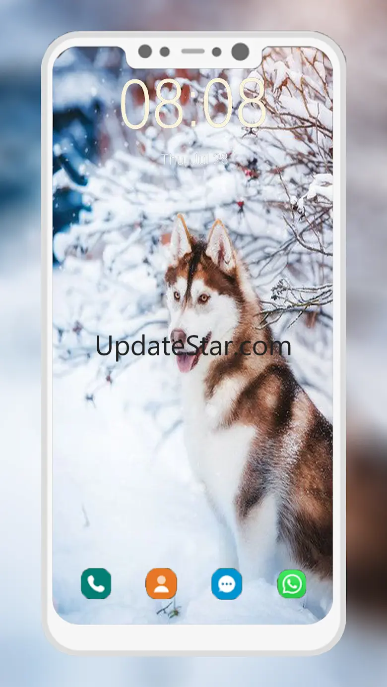 Husky Dog Wallpaper