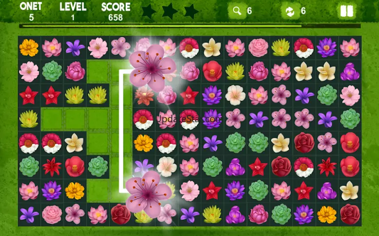 Onet Blossom - Flower Link 1.4