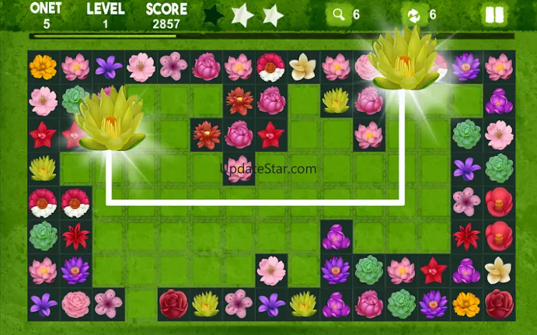 Onet Blossom - Flower Link 1.4