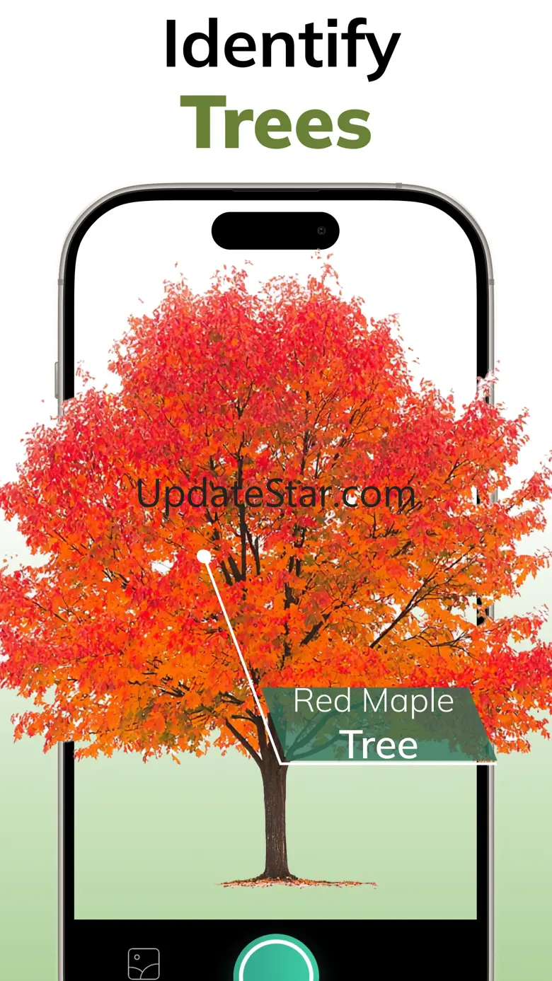 AI Tree Identifier: ID Trees 1.0.2