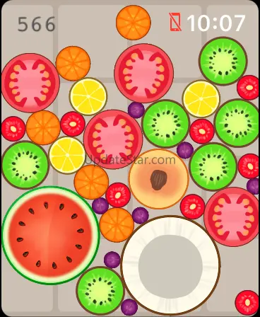 Merge Watermelon for watch 1.5