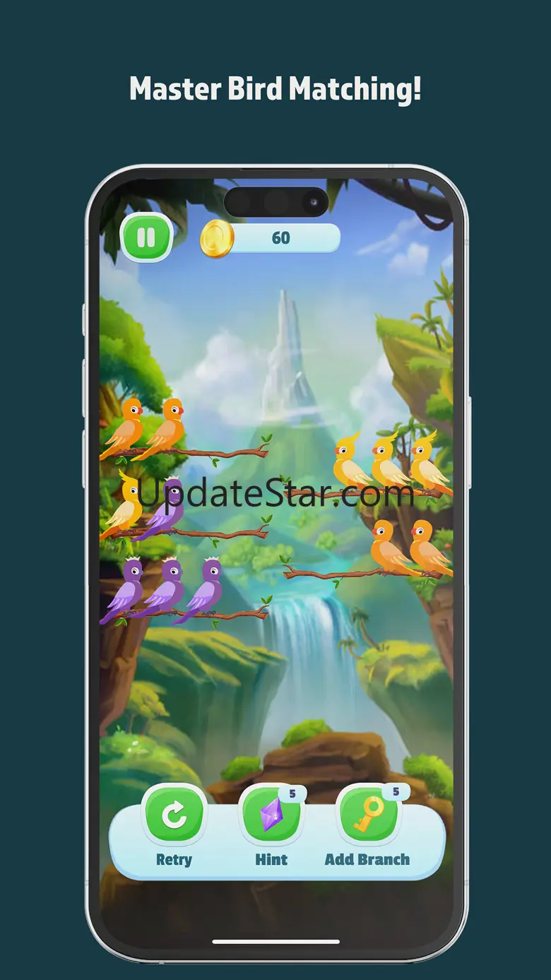 Bird Matching Master 1.0.8