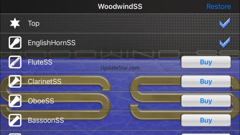 Woodwind instrumentSS IA 6.2
