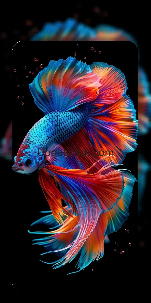 Betta Fish Wallpaper 4K 2.159.3d.16