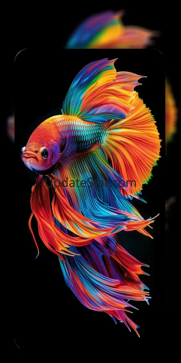 Betta Fish Wallpaper 4K 2.159.3d.16