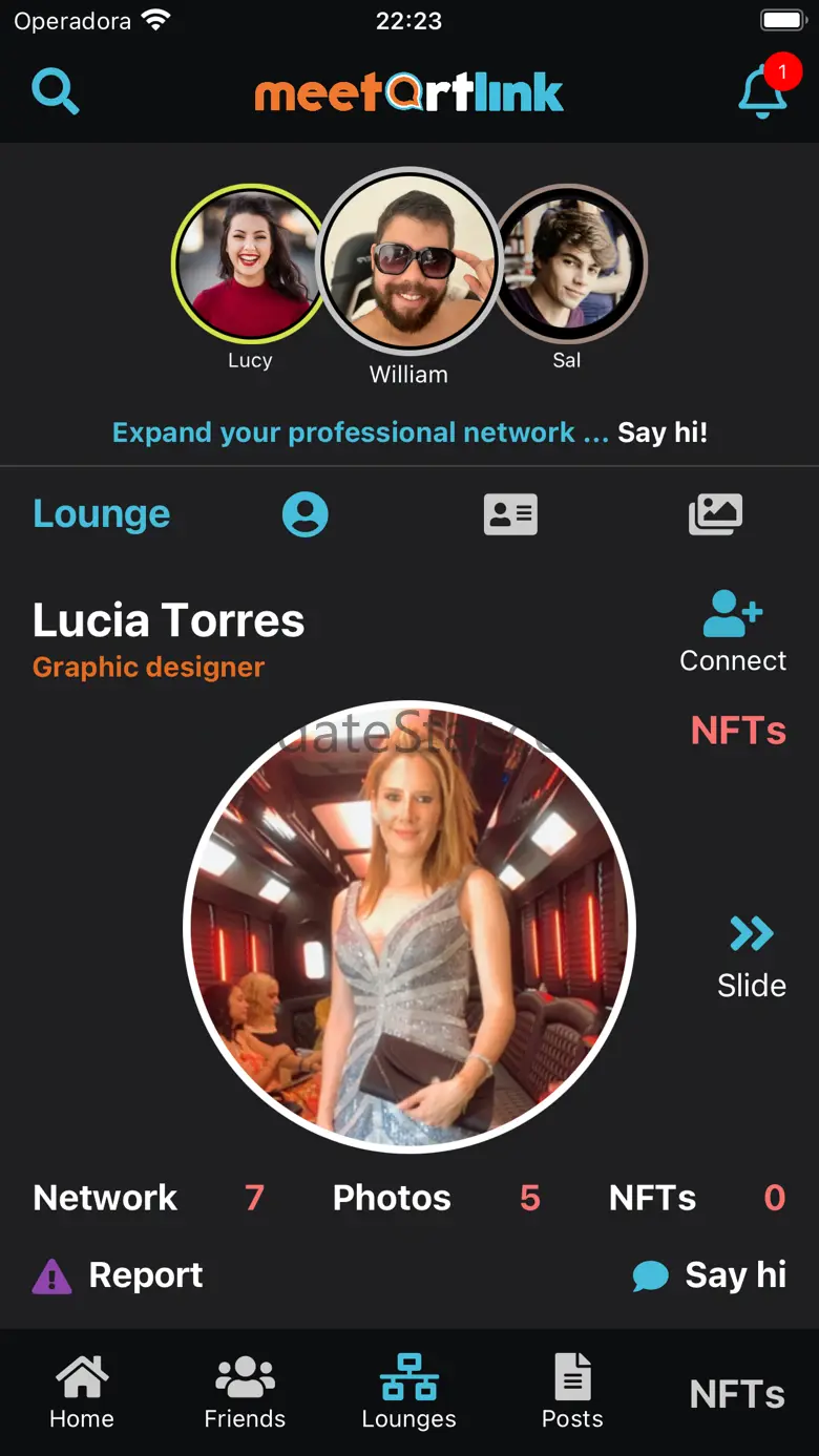 meetartlink 1.29.9