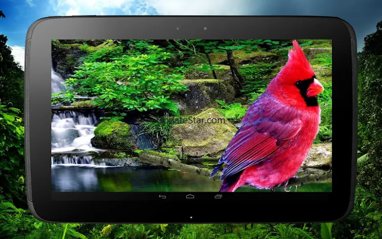 3D birds parallax 2.0.0