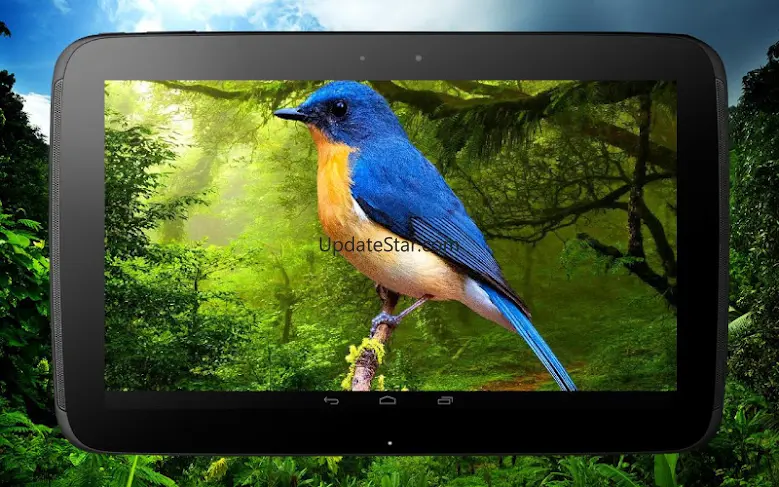 3D birds parallax 2.0.0