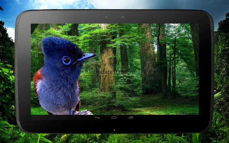 3D birds parallax 2.0.0
