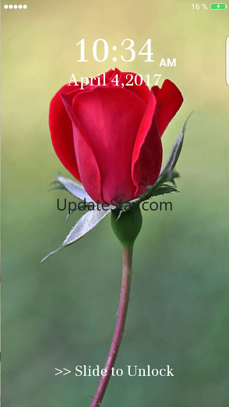 Red Rose Heart Pin Lock Screen 11.3