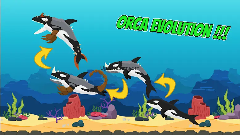 Hybrid Arena: Shark vs Orca 4