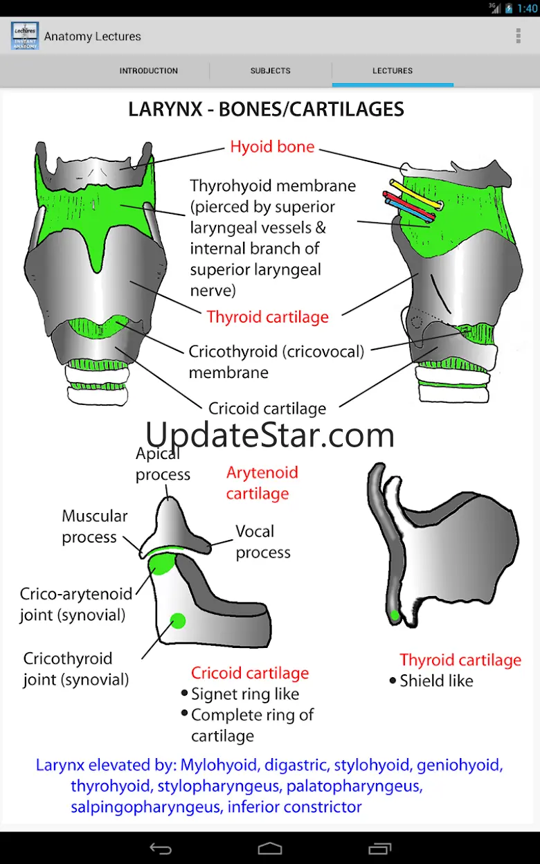 Anatomy Lectures 4.2
