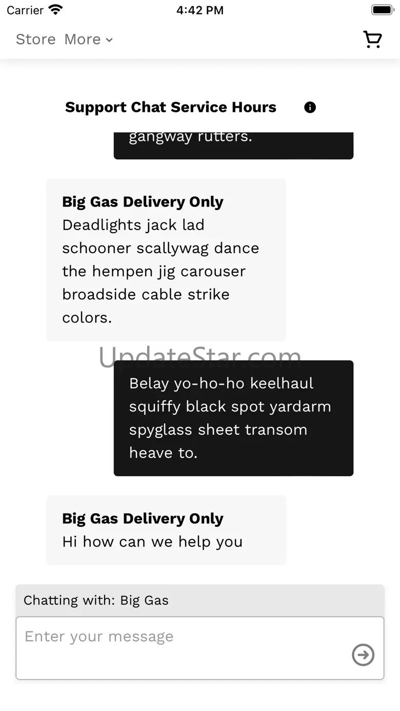 BIG GAS 1.1
