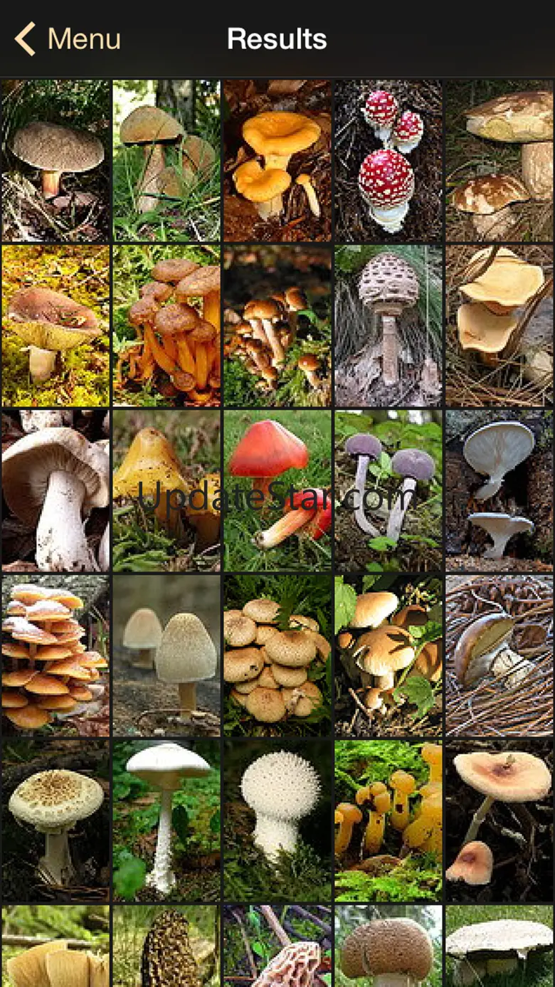 iFunch - Mushrooms and AI 4.9