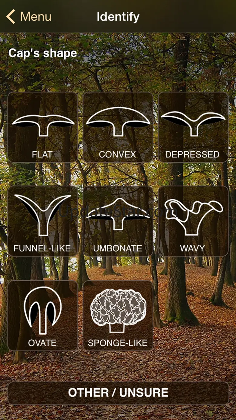 iFunch - Mushrooms and AI 4.9