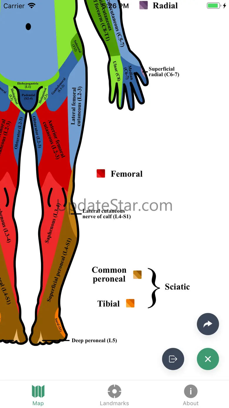 Dermatomes 1.6