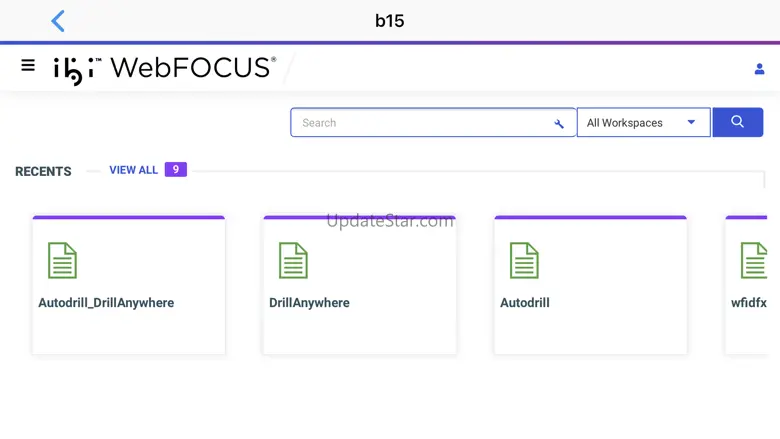 ibi™ WebFOCUS® 4.0.6