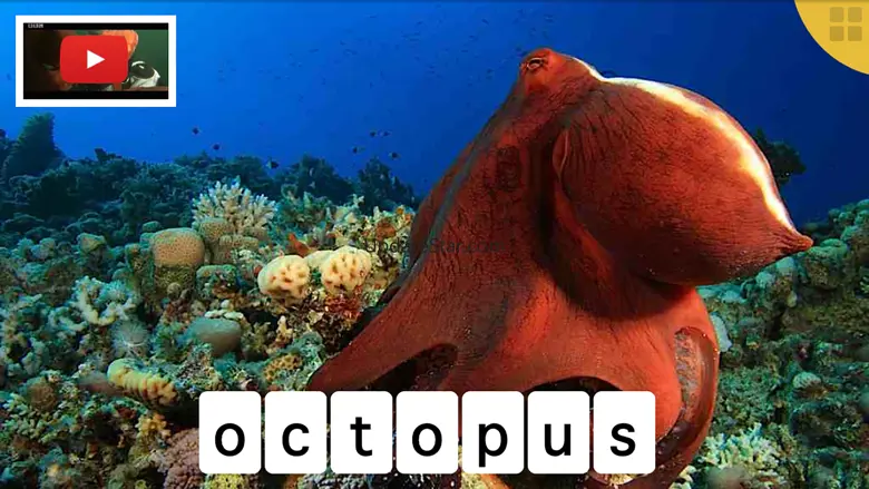 ABC Animals - Your Alphabet Letters Mini Adventure 2.0
