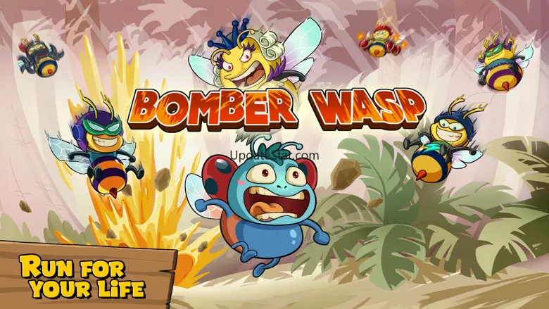 Bomber Wasp 2024.8.28