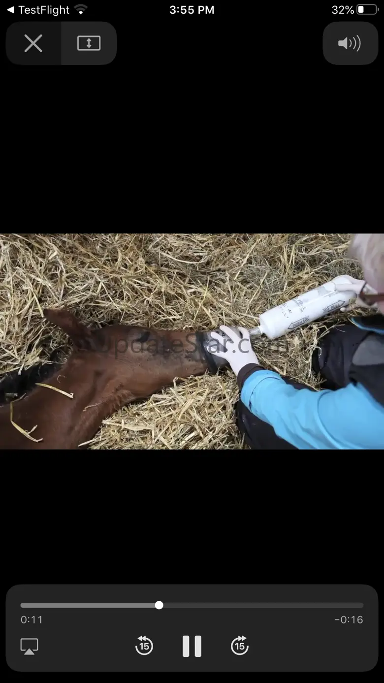 Foal CPR 2.0