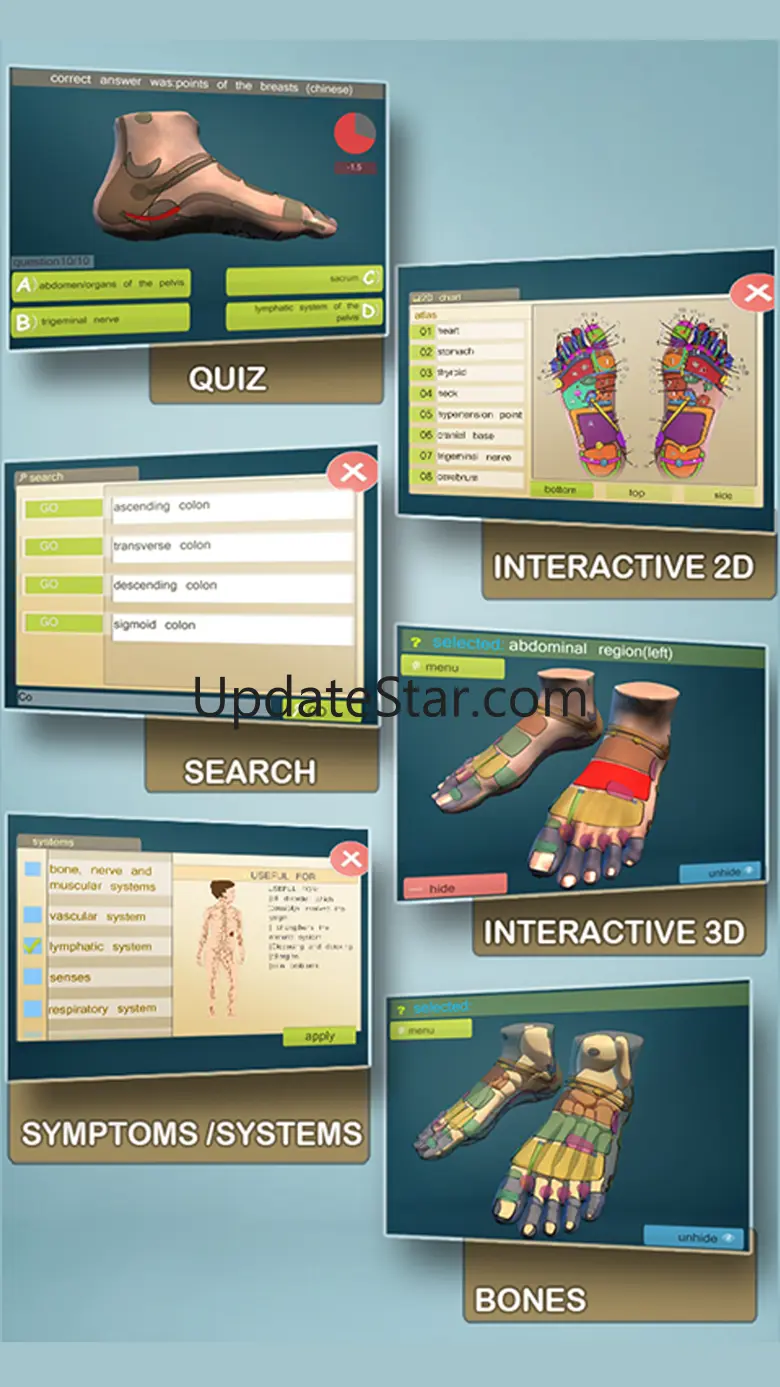 Total Reflexology-3D 2.5
