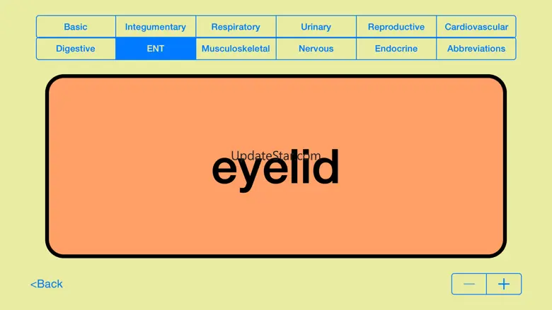 Medical Terms - Flashcards 2.2