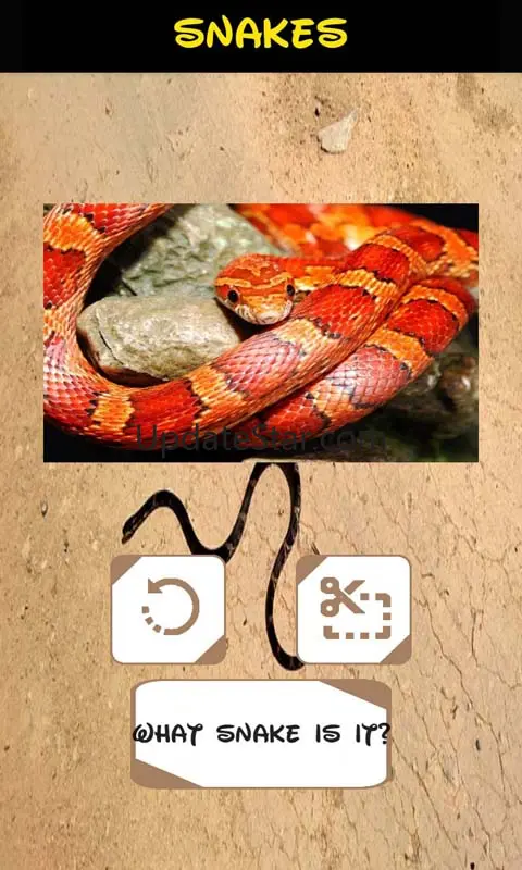 Automatic Snake Identifier 1.5