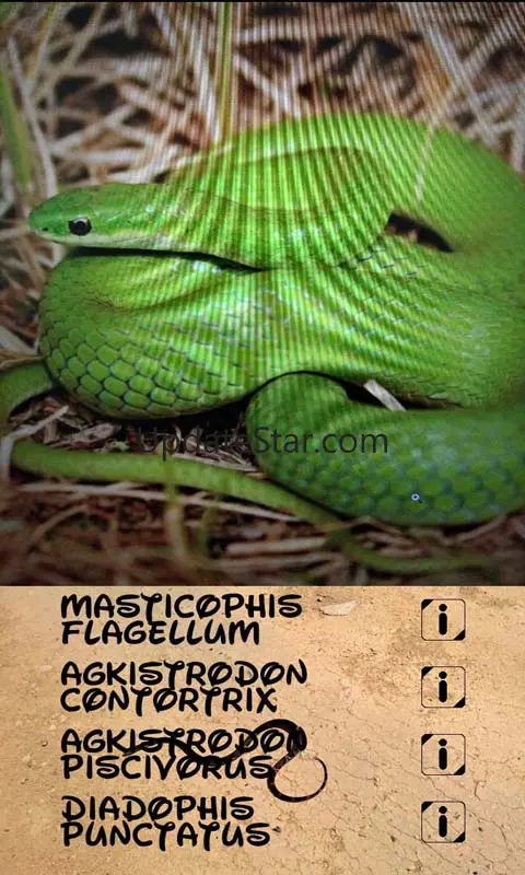 Automatic Snake Identifier 1.5