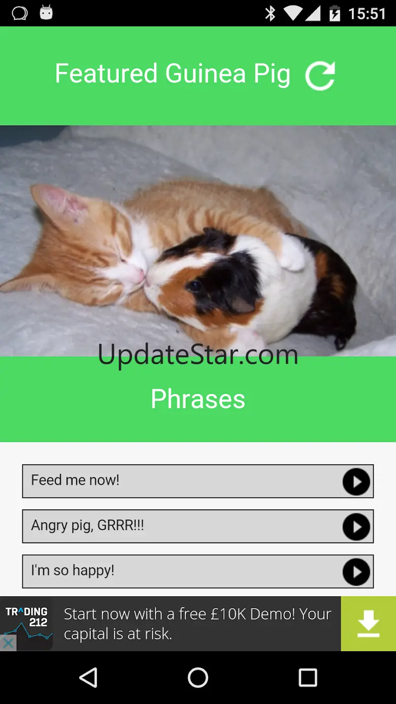 Guinea Pig Communicator 1.1