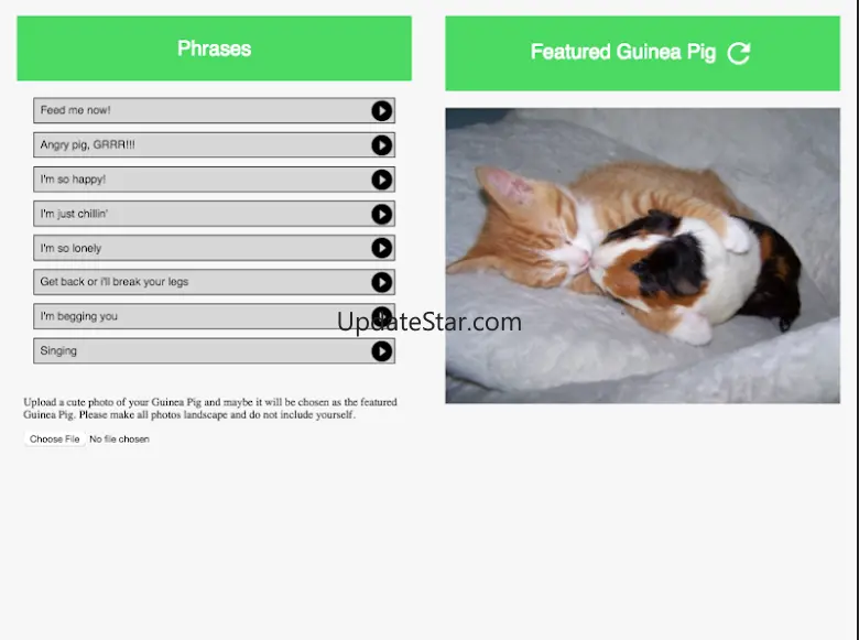Guinea Pig Communicator 1.1