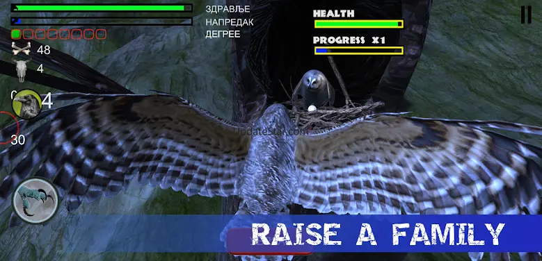 Owl Hunting Journey 1.0