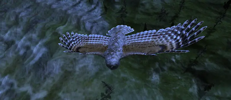 Owl Hunting Journey 1.0