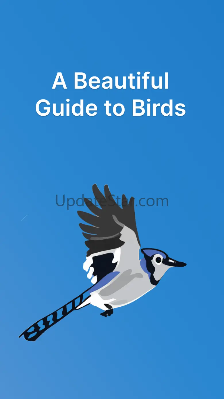 Feather Finder - A Bird Guide 1.3