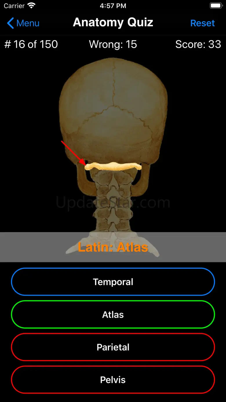 Anatomy Quiz 5.1