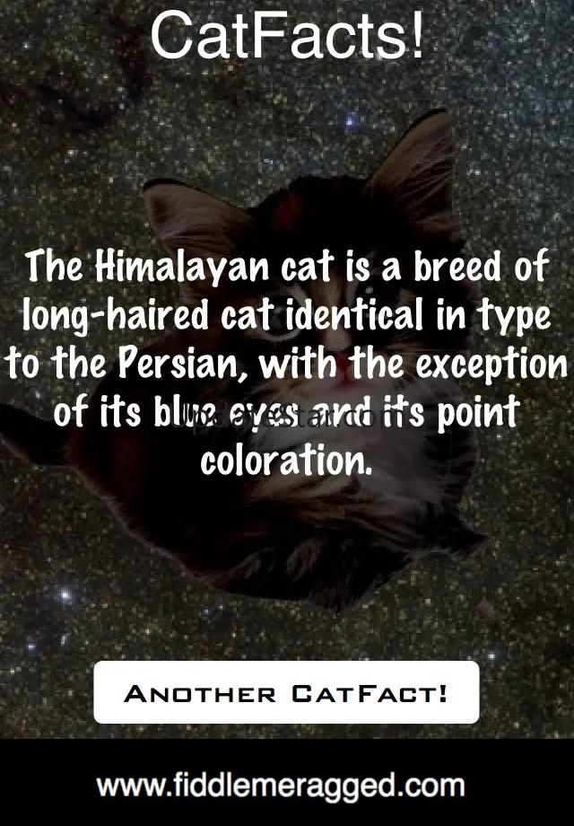 CatFacts 3.1