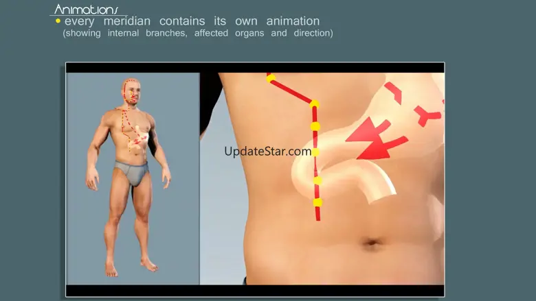 Easy Acupuncture 3D - LITE 5.0