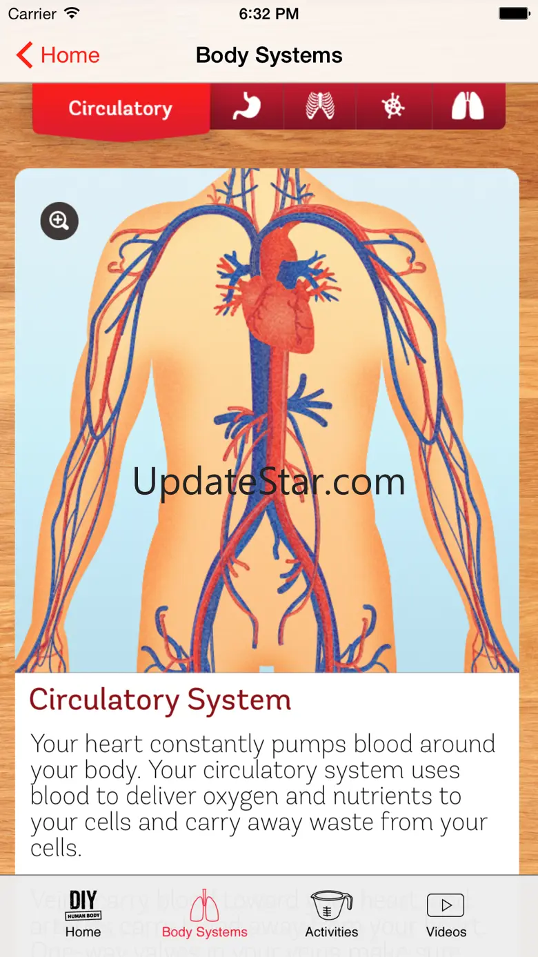 DIY Human Body 1.4