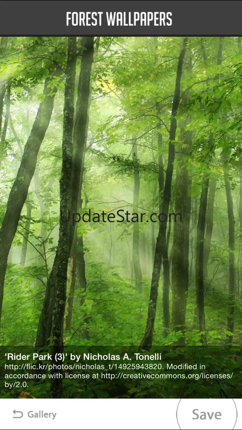 Forest wallpapers 3.2.2