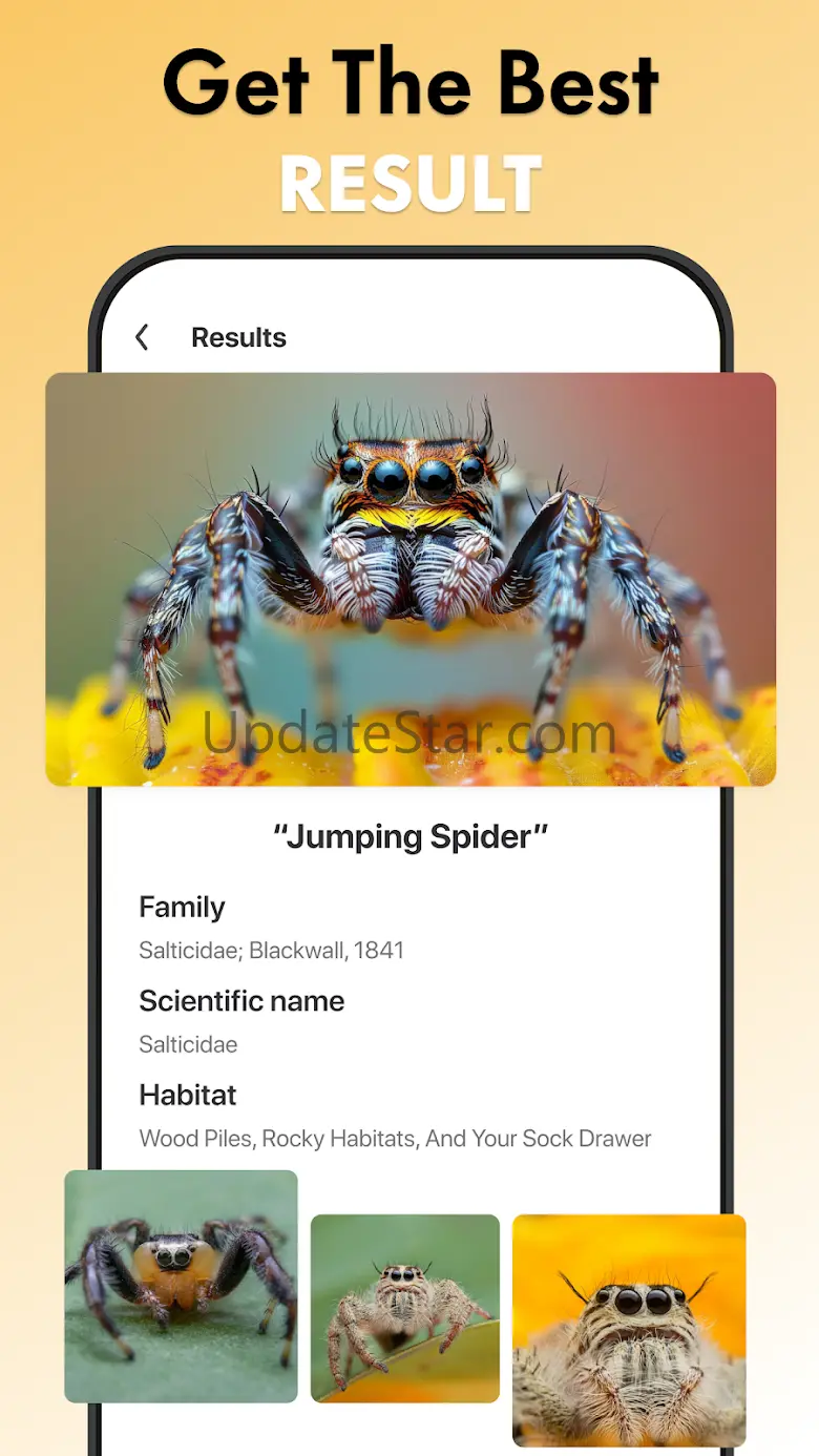 Spider Identifier: Insect ID 32.0