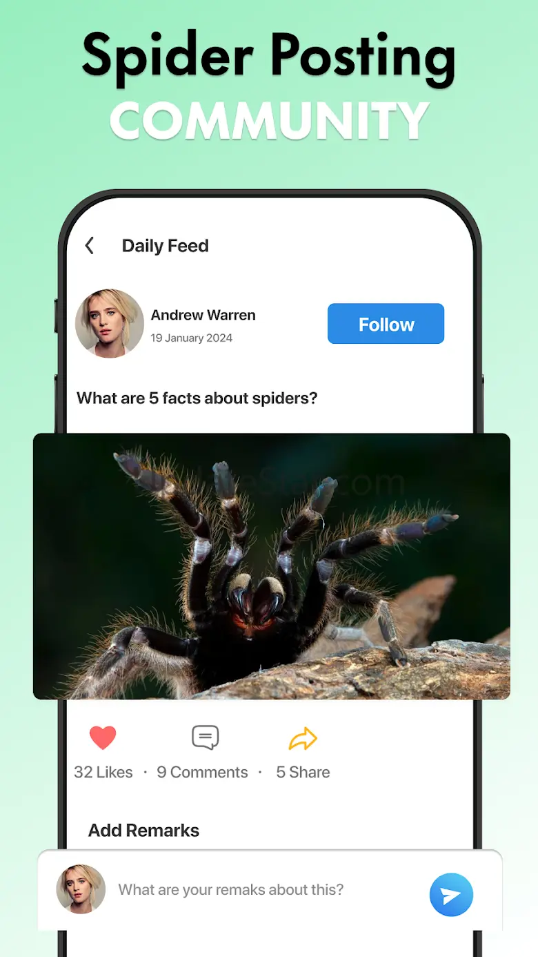 Spider Identifier: Insect ID 32.0